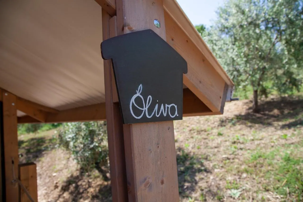 Glamping Prataccio 호텔 그레세토 럭셔리텐트